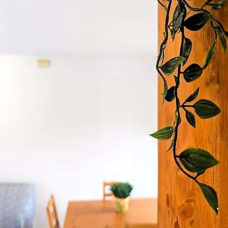 Hotel Fontana House 3*